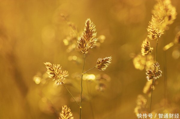 富兴配资 净利大增233%，从最新财报看乐舱物流（02490）的价值