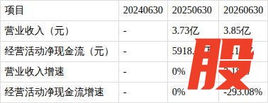 托伦斯上半年业绩 净利润大幅下滑