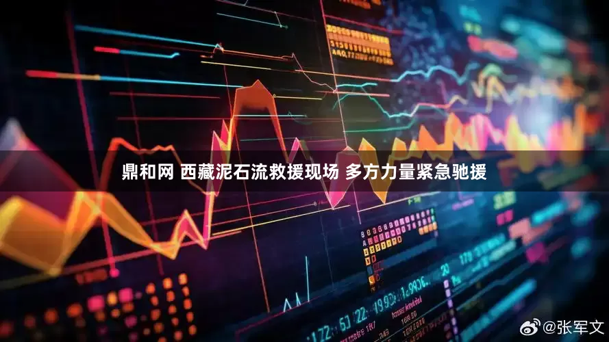 鼎和网 西藏泥石流救援现场 多方力量紧急驰援